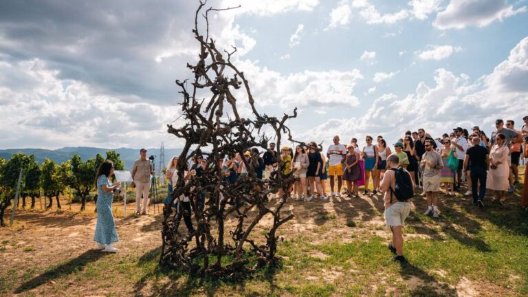 barbare studionun arsiv ve kamusal programi kayda degerin detaylari belli oldu IEdqVyZs
