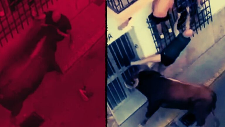 festival kana bulandi boga saldirisina ugrayan adam hayatini kaybetti V5Oeu4qi