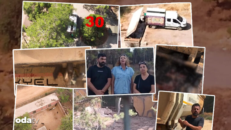 gaziantepte neler oluyor kopek ve esekleri aslanlara mi yedirdiler iddiasi belediyeden aciklama LqtI6yPn