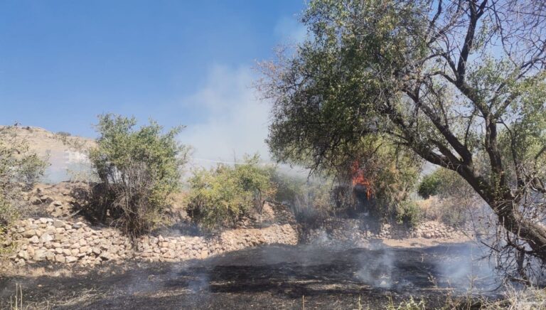 mardinin 2 ilcesinde ortu yangini gFfcTVJs