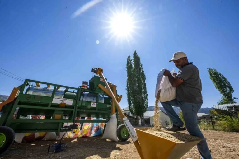 mersinden kirsal ureticiye tohum eleme makinesi destegi Uj9lb7UX