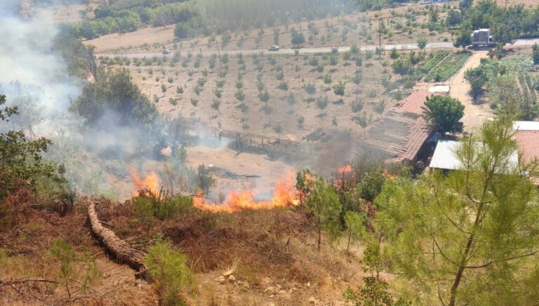 sindirgida orman yangini dzJzaFyc