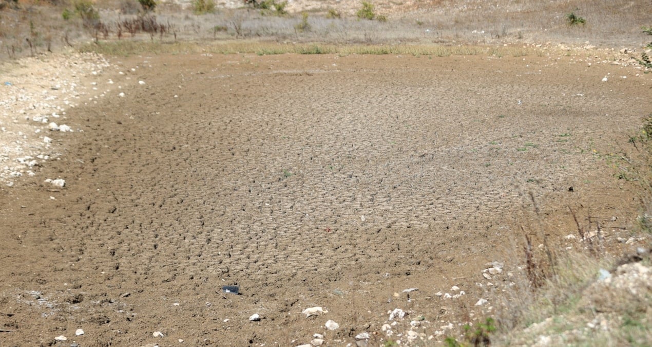 taslik goletinden kahreden manzara kurak araziye dondu 2PPbSMxB