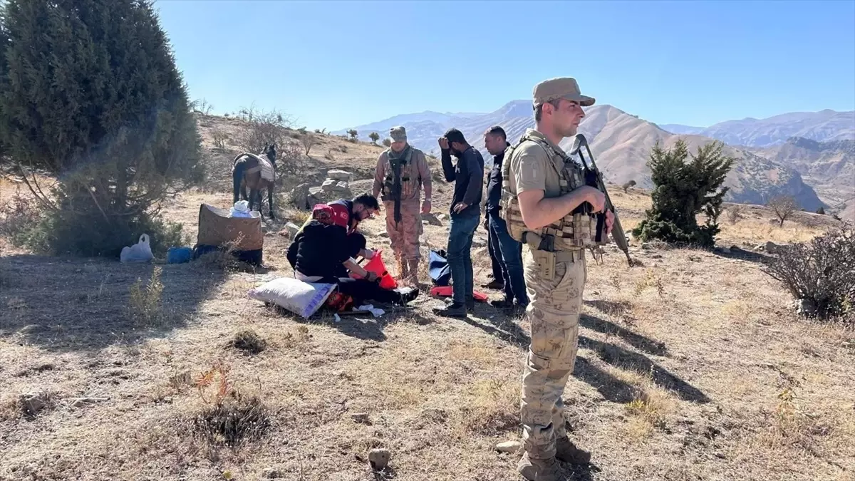 beytussebapta atla dusme kazasi jvECu3nA