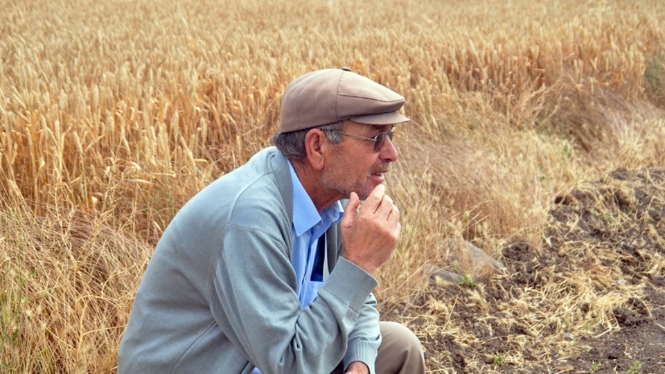 ucuz finansmana ulasamayan tarimda ya verim dusecek ya maliyet artacak qz1pELXb.jpg