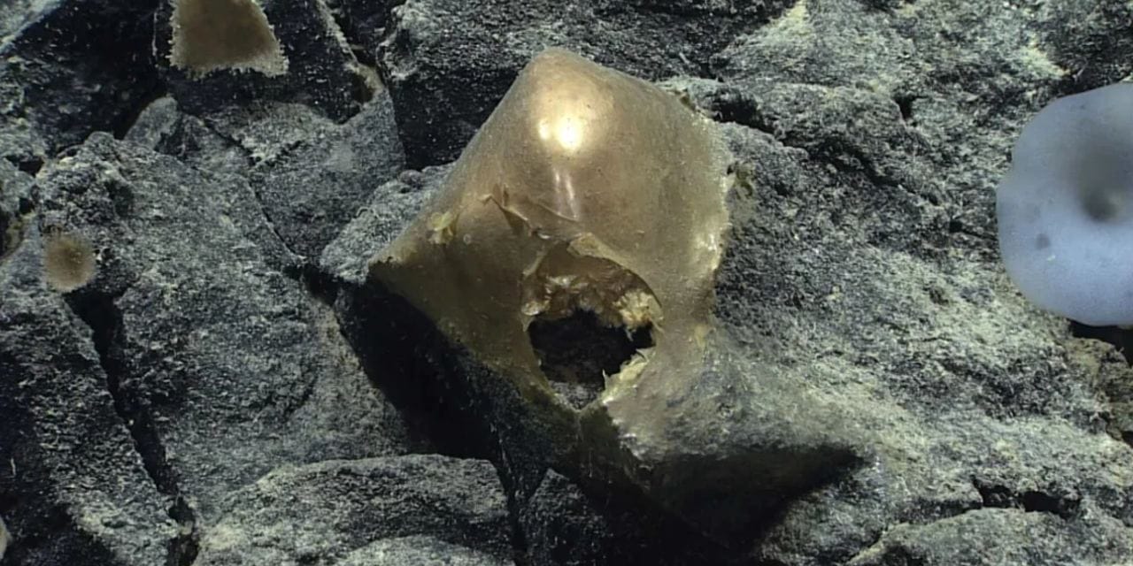 3250 Metre Derinlikteki Altın Kürenin Gizemi Üç Yıl Sonra Gün Yüzüne Çıktı