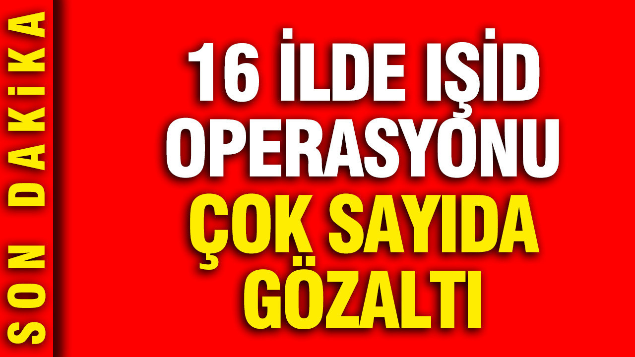 16-ilde-dev-isid-operasyonu-cok-sayida-gozalti-T1sn2enf