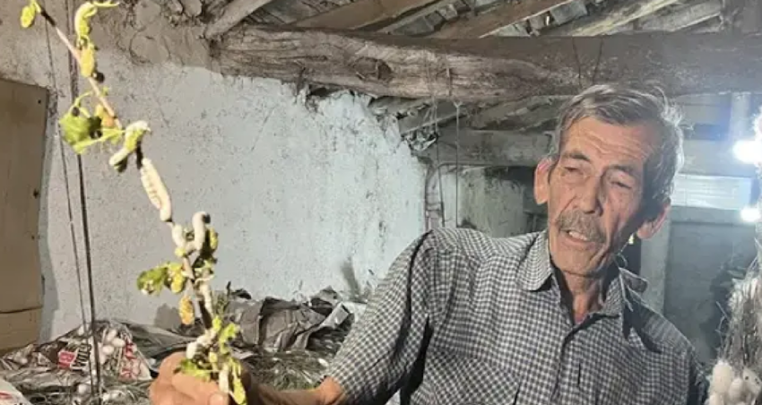 6 yıldır evinin altında üretiyor: 40 günde 216 bin TL kazanıyor