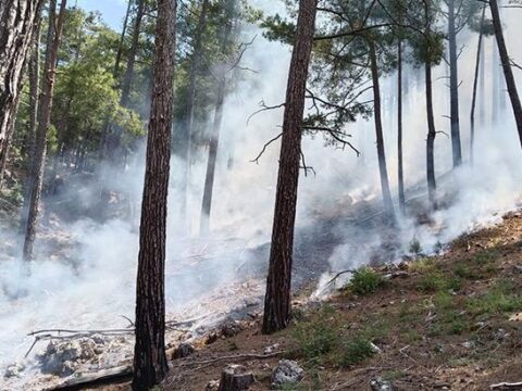 Antalya’da yıldırım düştü, ormanda yangın çıktı