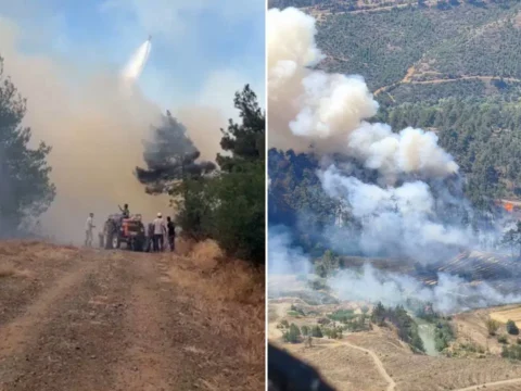 Bursada orman yangini ekipler mudahale ediyor XvAtVvKY